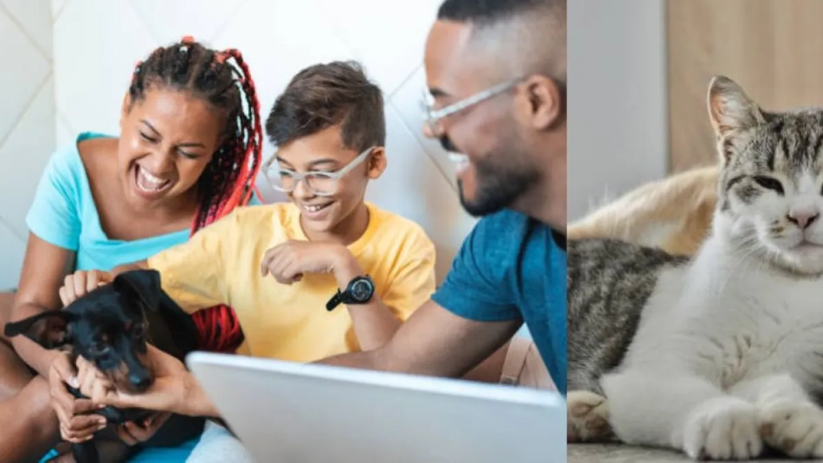 Lanzan concurso para escribir cuentos sobre su perro o gato: podrá ganar un millón de pesos