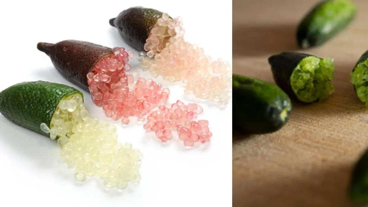 ¿Qué es el caviar cítrico, cuesta más que el marisco y los expertos aseguran que se puede cultivar en casa?