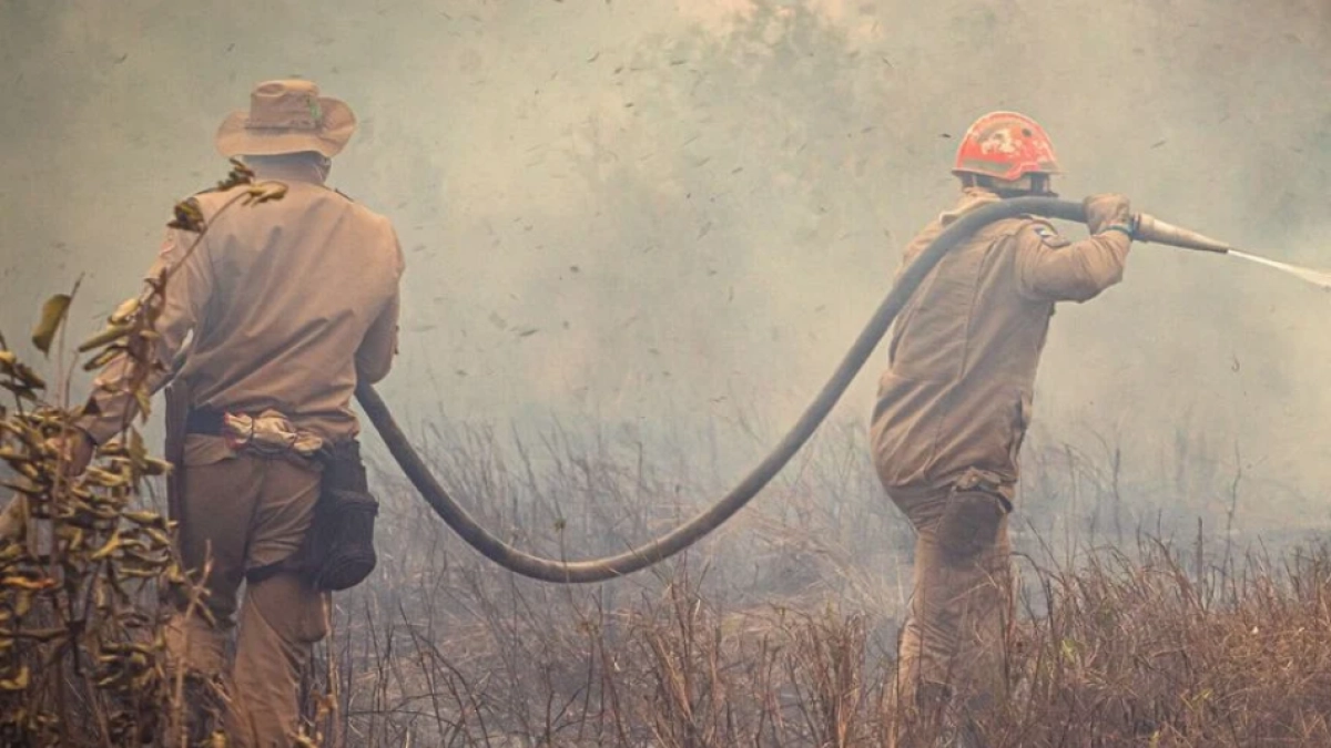 El 95 % de los incendios forestales en Colombia tiene origen humano: cuatro recomendaciones para prevenirlos