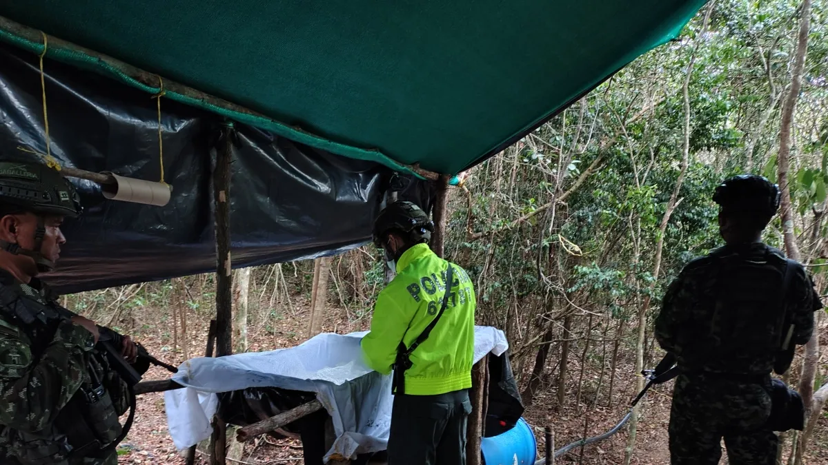 Incautan más de una tonelada de clorhidrato de cocaína al Eln en Norte de Santander