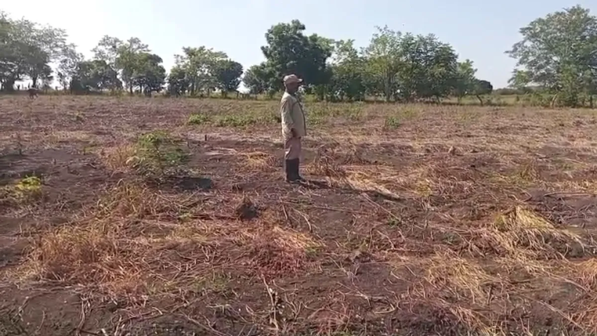 Falta de suministro y mucha sed: el drama por el agua potable que afecta a los pueblos de Sucre, Sincelejo y sus zonas rurales
