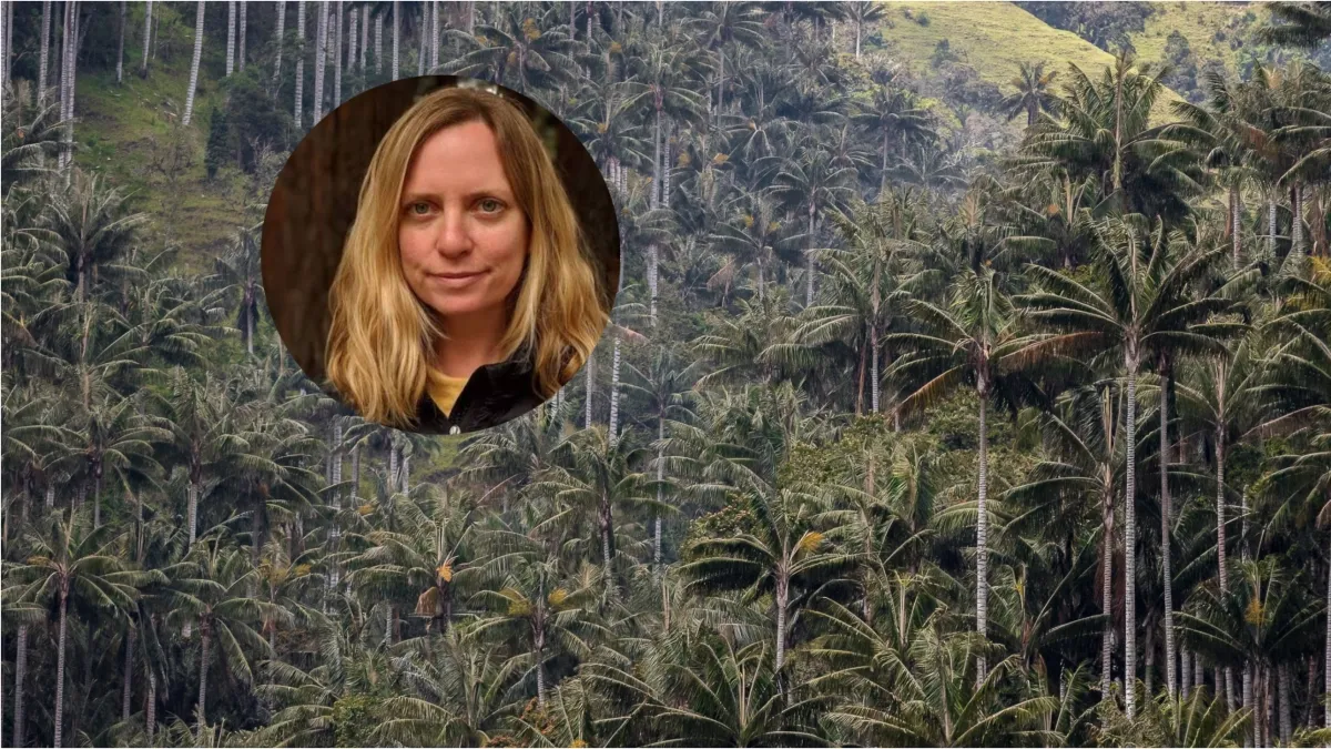 Exclusivo: Así ayudó Google a proteger el mayor bosque de palma de cera de Colombia, el Santuario de Flora Palmares de Tochecito
