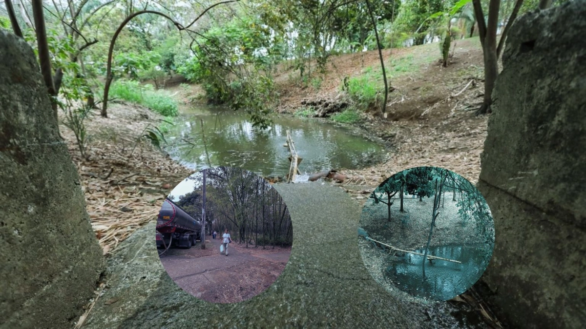 La transfusión de agua para salvar un humedal en Cali de El Niño: dos carros tanque bombearon 44.000 litros con el fin de revivir este ‘pulmón’ verde
