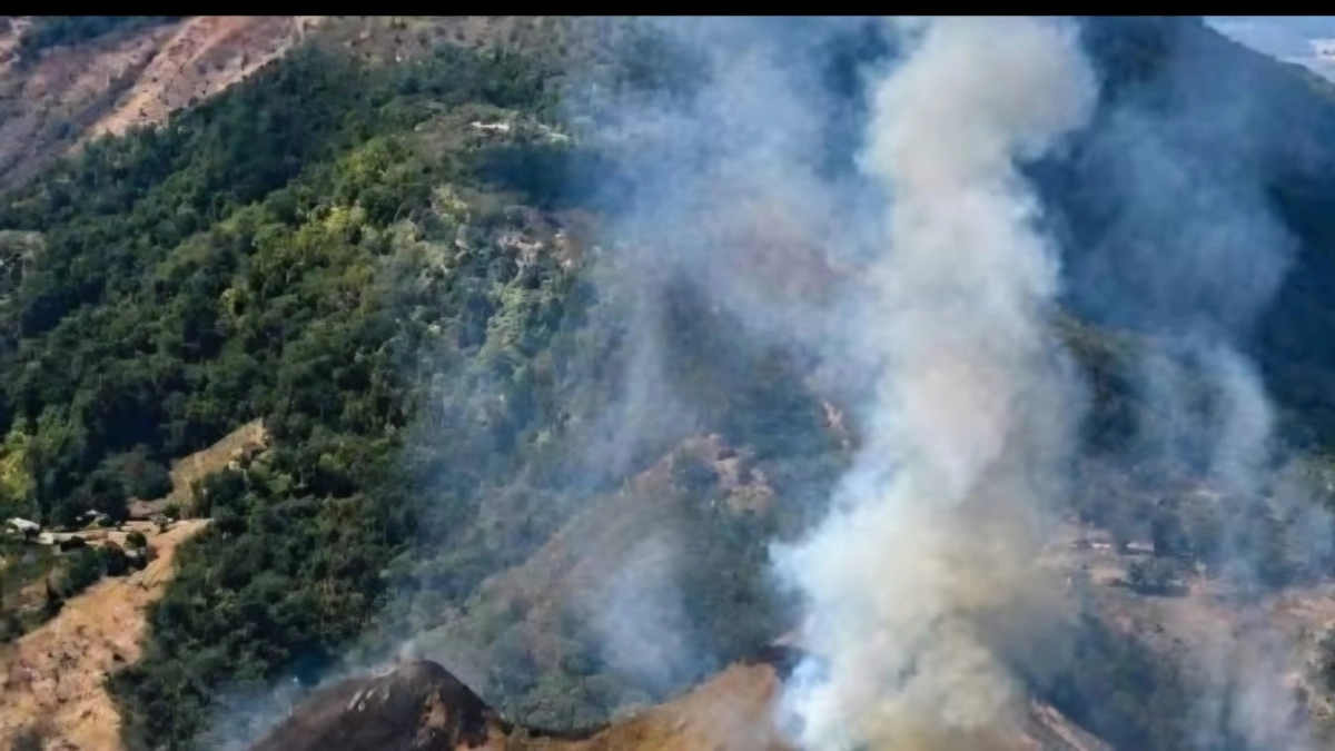 Así tratan de contener un incendio subterráneo en el Bosque de Galilea, la reserva natural más grande del Tolima, donde habitan osos de anteojos