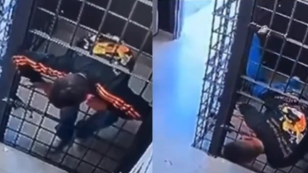 Video: preso se escurrió por un espacio de solo 15 centímetros entre barrotes, volvió por sus zapatos y escapó de una comisaría en Brasil