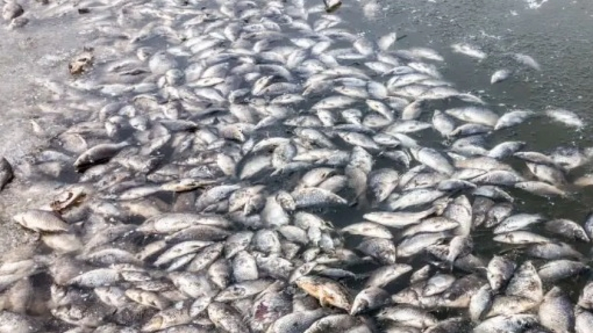 La contaminación del río Lebrija vuelve a encender las alarmas: advierten que se estaría dando por aguas residuales y minería ilegal