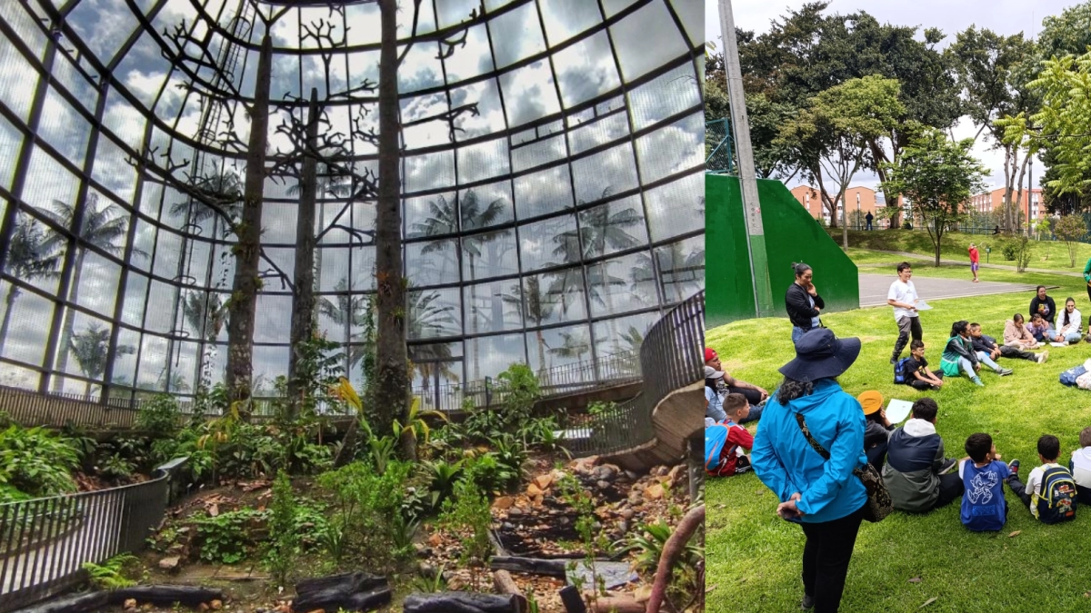 Jardín Botánico de Bogotá presenta su agenda para la semana de receso escolar de octubre: conozca cronograma de actividades y proceso de inscripción