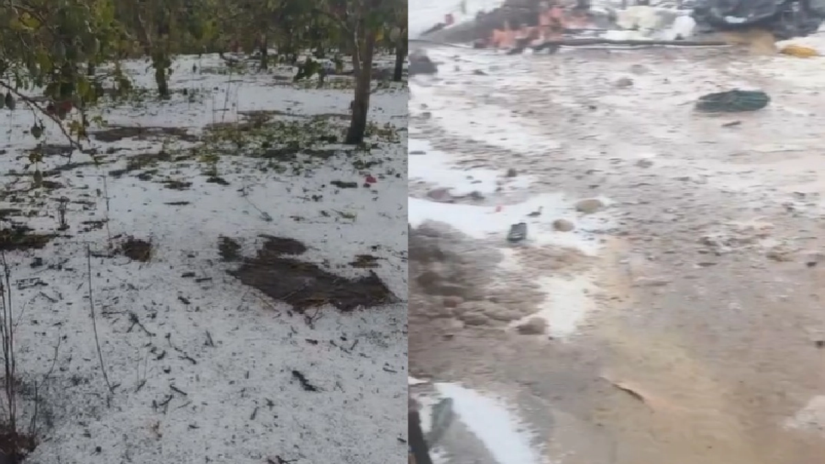 La fuerte granizada que cayó en Santander, similar a la de Bogotá: afectó fuertemente cultivos y campesinos aseguran haberlo perdido casi todo