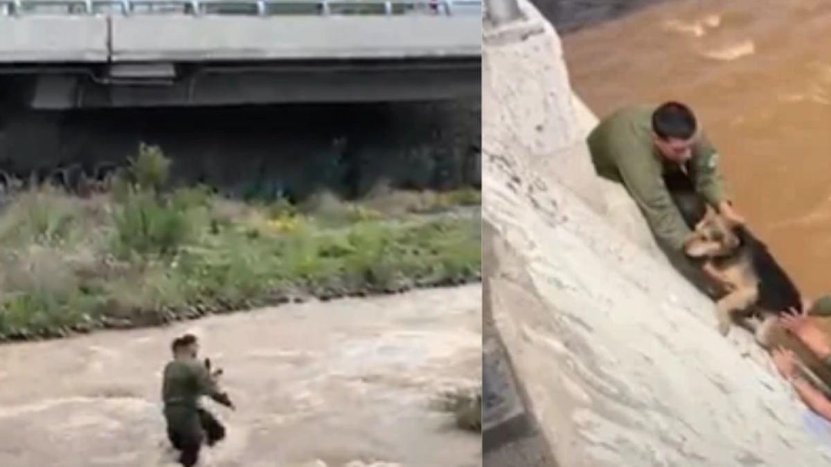 Conmovedor rescate en Chile de un perro que quedó atrapado en medio del río Mapocho tras fuerte lluvia
