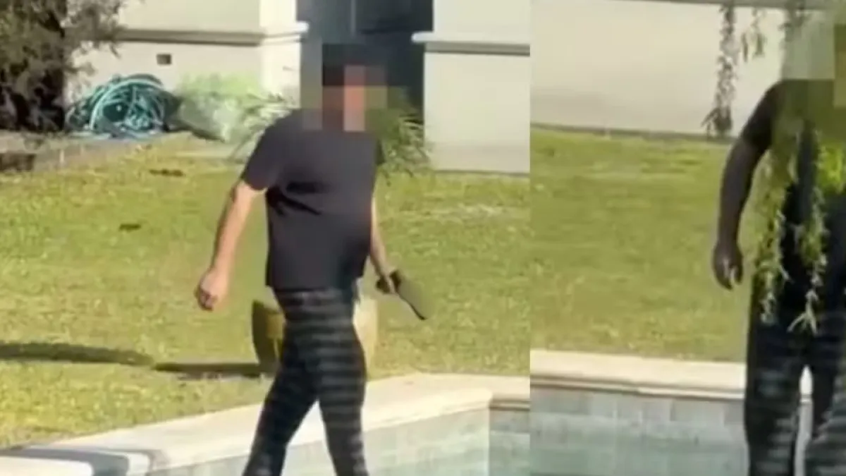 En pijama y armado: hombre salió a su jardín y empezó a disparar contra varios capibaras en Argentina; vecinos lo denunciaron