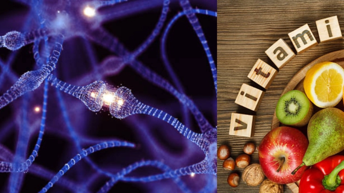 ‘Estas son las cuatro vitaminas más importantes para tu cerebro’, según un psiquiatra: están en varios alimentos