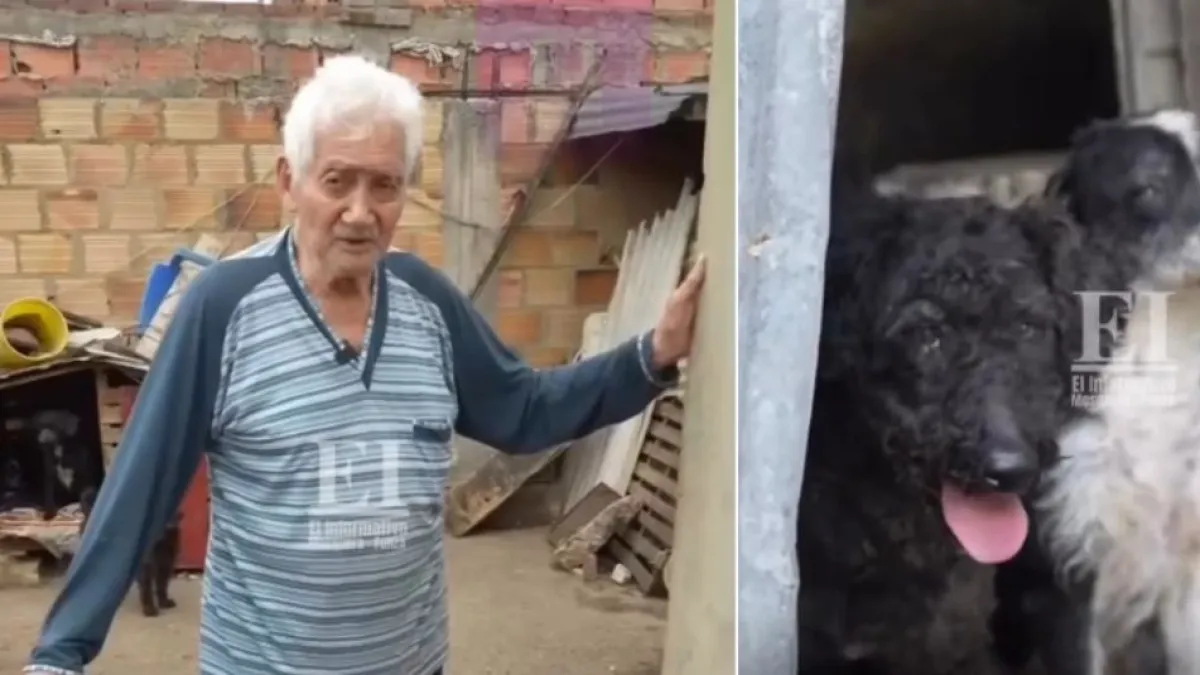 Abuelito de Mosquera pide ayuda para dar en adopción a sus 14 perritos: 'Ya no los puedo cuidar porque estoy muy enfermo'