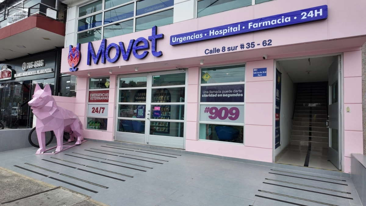 Movet acelera su expansión en Colombia con inversión de 6.000 millones de pesos en Antioquia