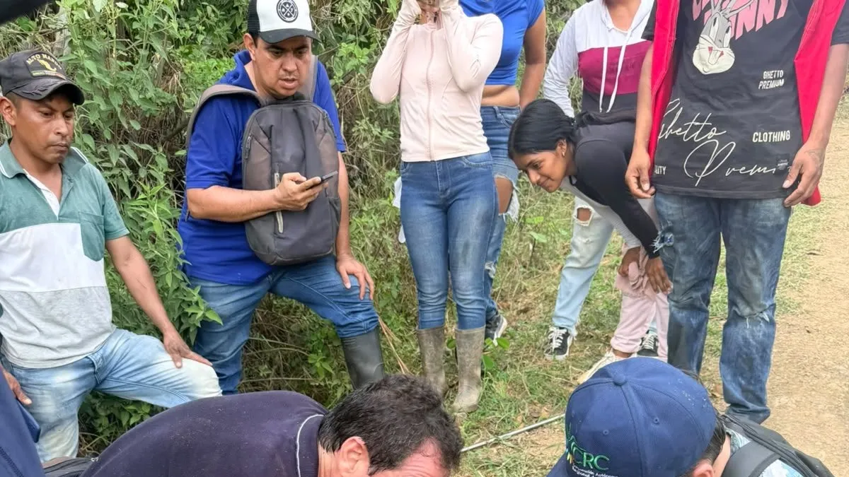 Rescatan a una madre puma y su cría amenazadas por pobladores en Miranda, Cauca