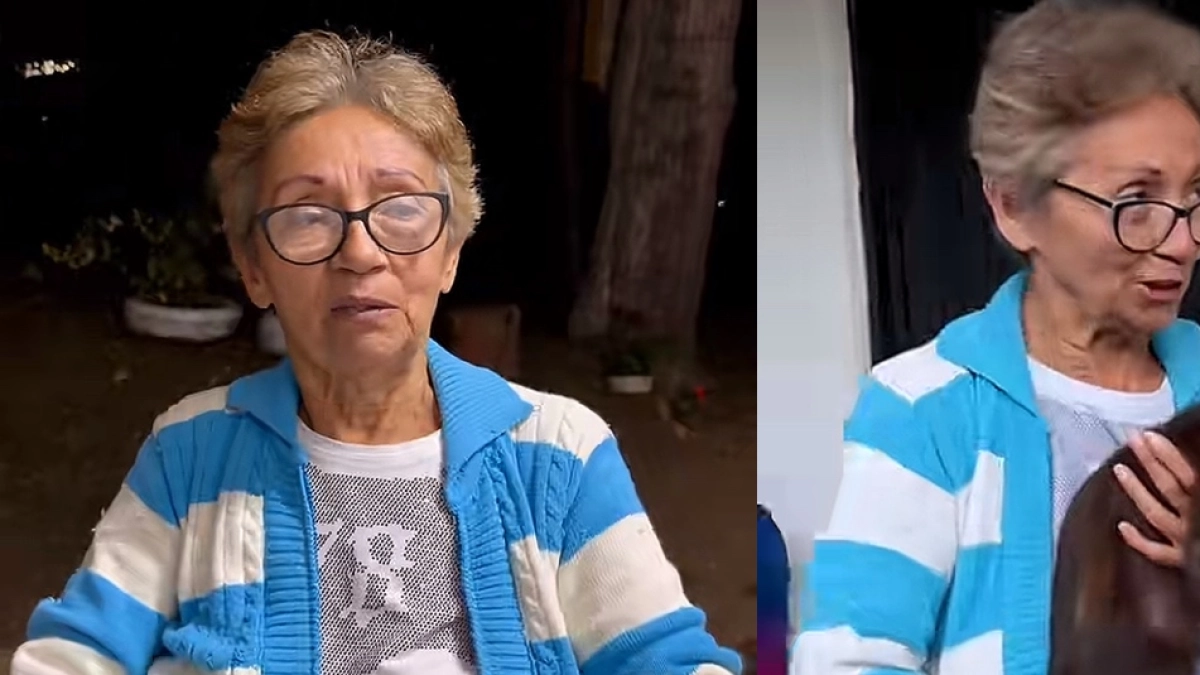 Doña Amparo busca apoyo para alimentar a sus 50 gatos rescatados en Cali: ‘Las ayudas han mermado bastante’