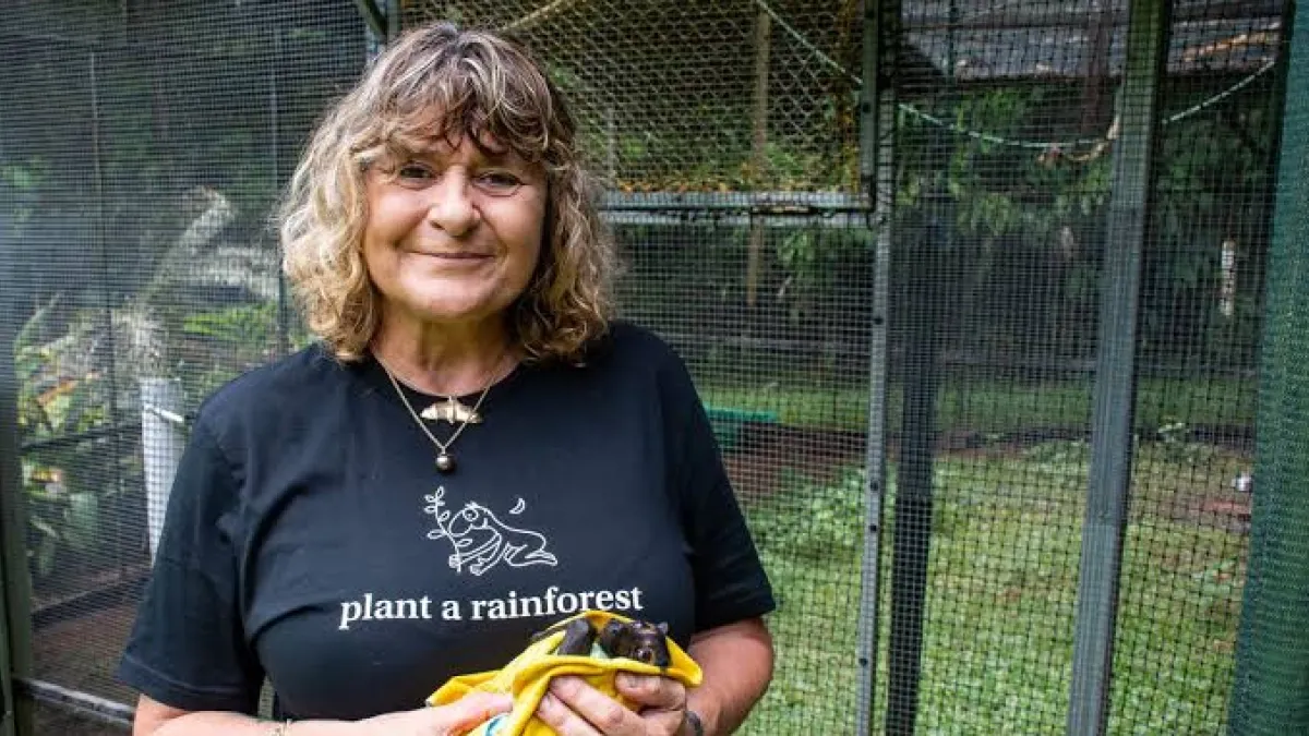 En 2015, Annie Schoenberger compró un terreno de caña de azúcar: once años después es una selva tropical con animales no vistos en décadas