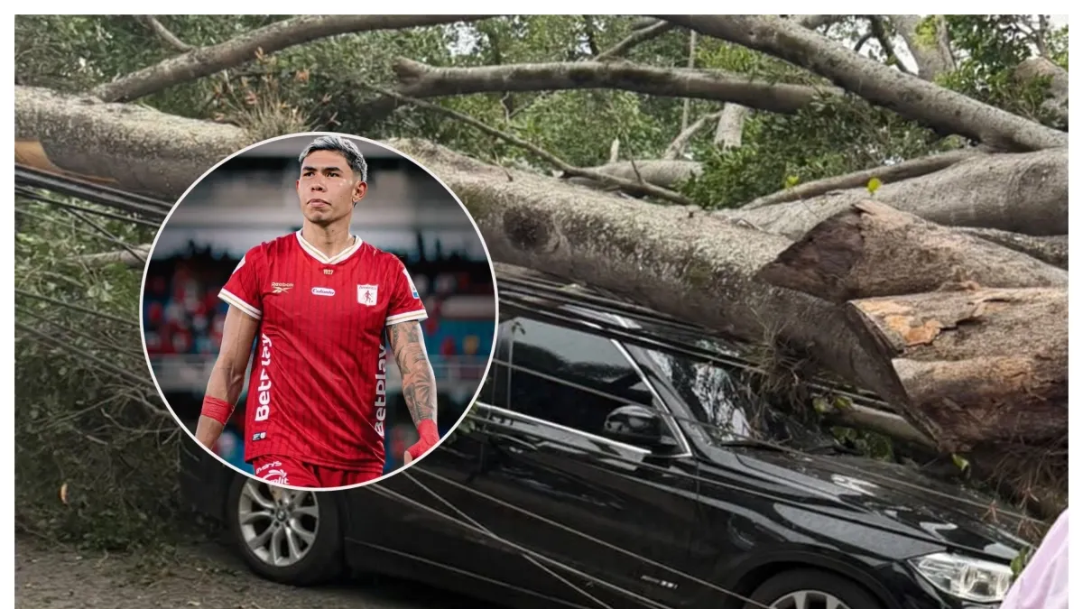 Video | Un árbol impactó el vehículo del jugador de América de Cali Nicolás Hernández en pleno vendaval