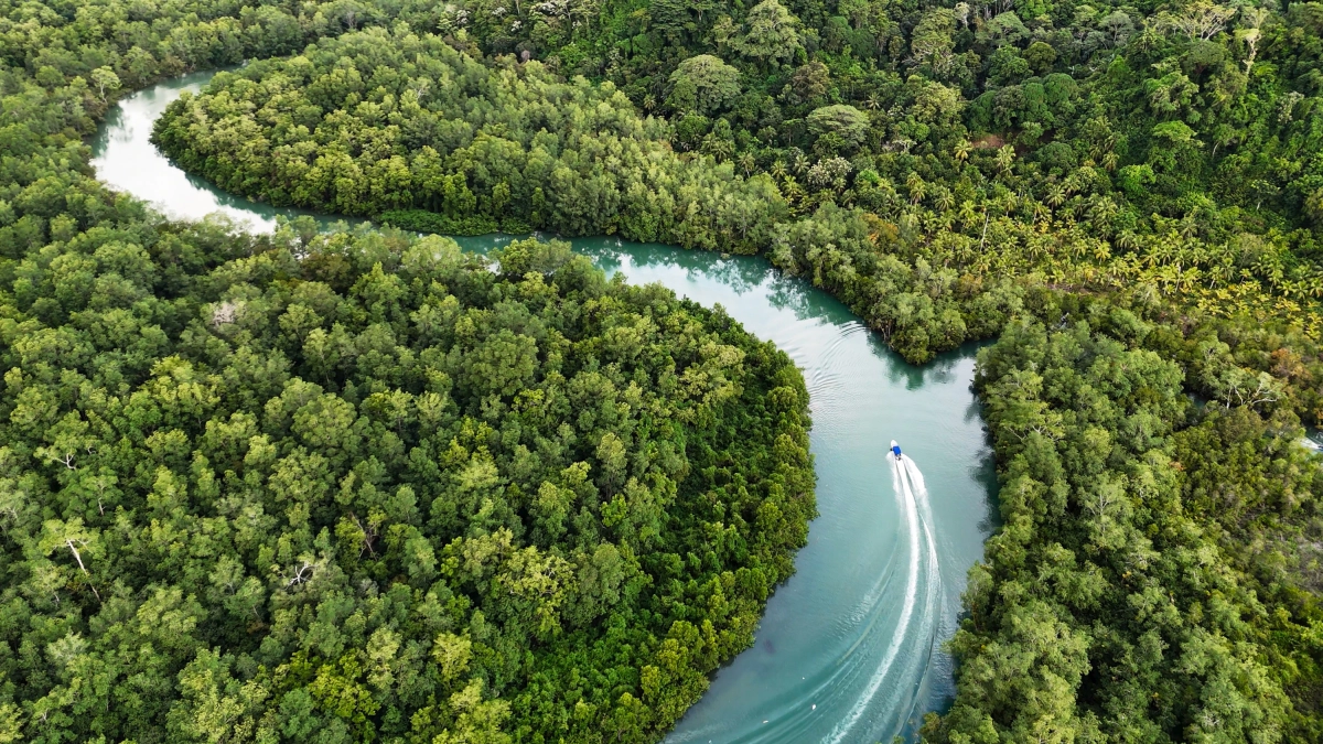 ‘Donde la selva se une con el mar’, la serie documental que recorre los saberes y la biodiversidad del Pacífico chocoano