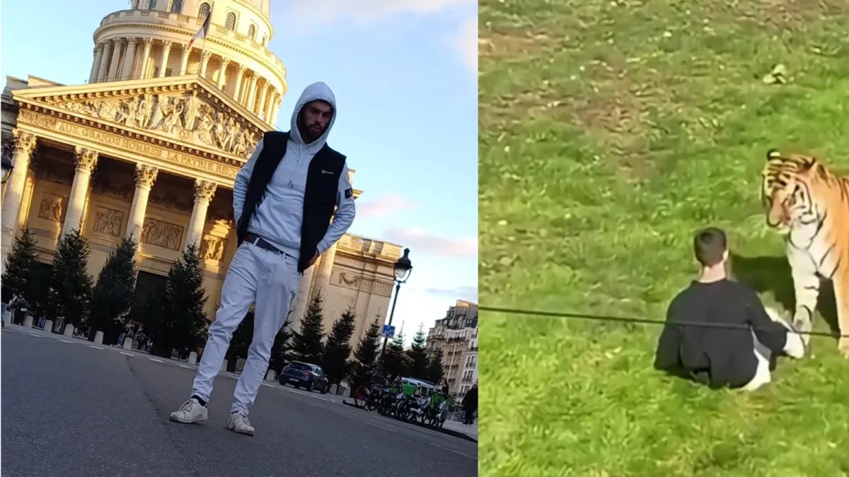 Identifican al joven que murió tras ser atacado por un tigre siberiano en Reino Unido: Policía lo describió como ‘una persona vulnerable’