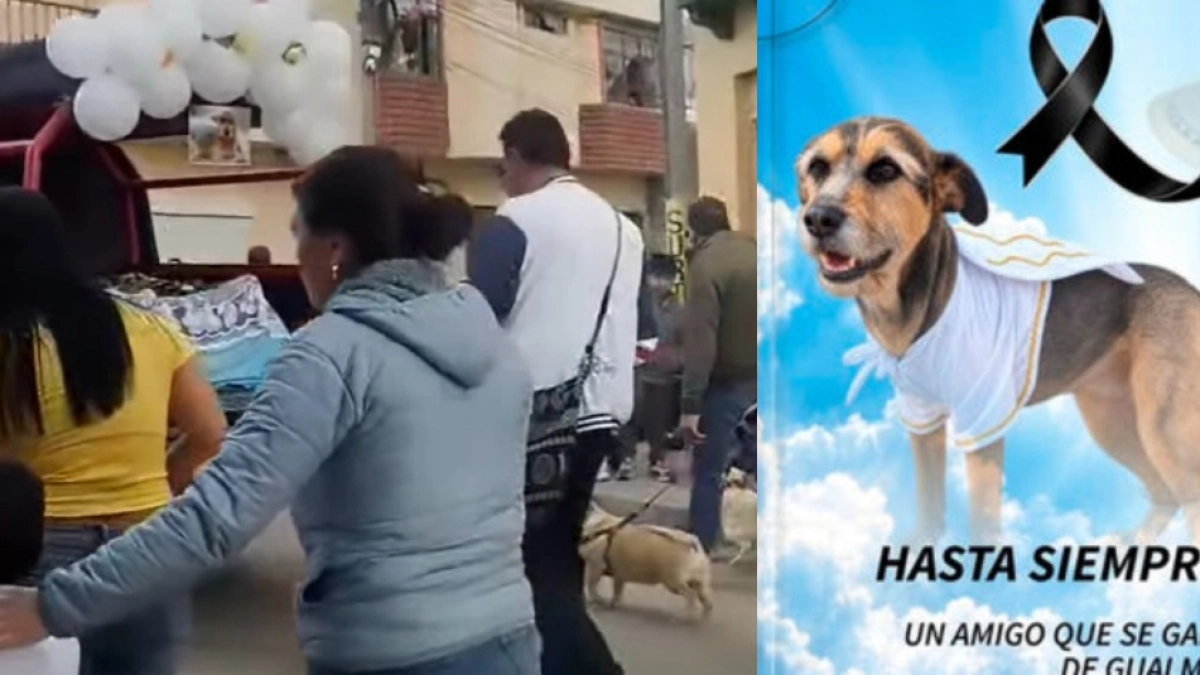 Pueblo de Nariño despidió a ‘Leyenda’, el perrito abandonado que conquistó el corazón de la comunidad