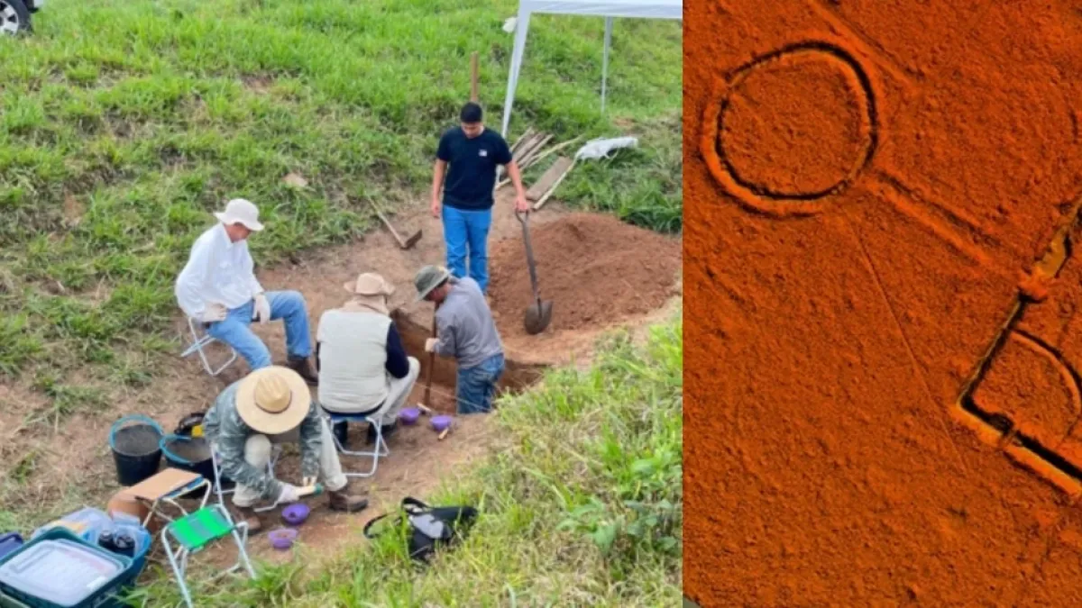 Los dibujos que fueron encontrados en la Amazonía y que sorprenden a la comunidad científica: serían parte de una antigua civilización