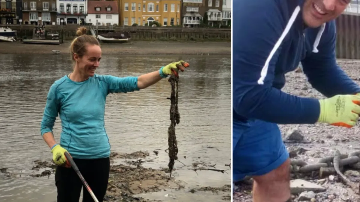 Retiran 180 toneladas de toallitas húmedas del Támesis, en Londres, y el cambio ambiental se notó: se acumulaban desde hace años y alteraban el río