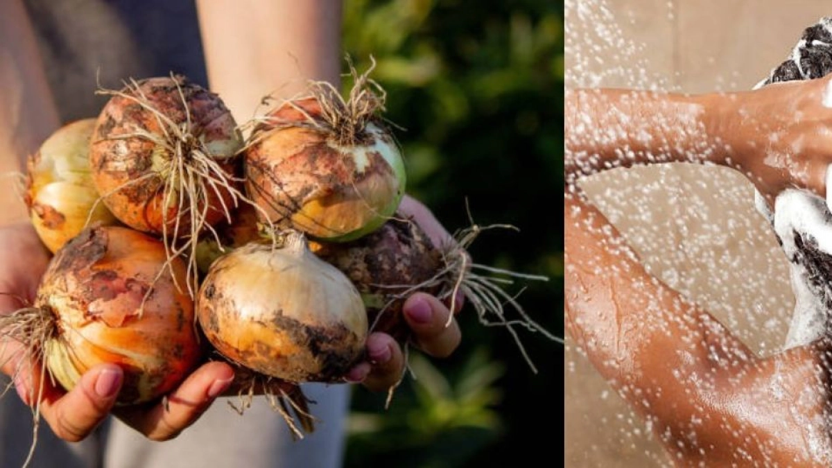 ¿Cómo usar la cebolla para hacer crecer el cabello? Estos son los beneficios y los mitos que la rodean
