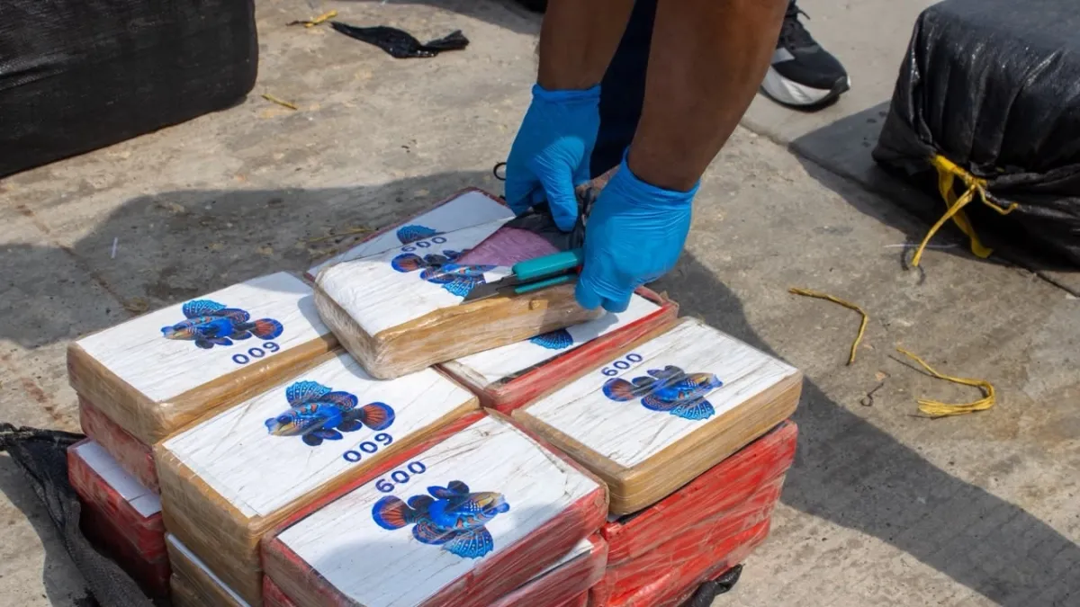 Caen 3,5 toneladas de cocaína en el mar Caribe que eran transportadas en una lancha rápida con rumbo a Centroamérica
