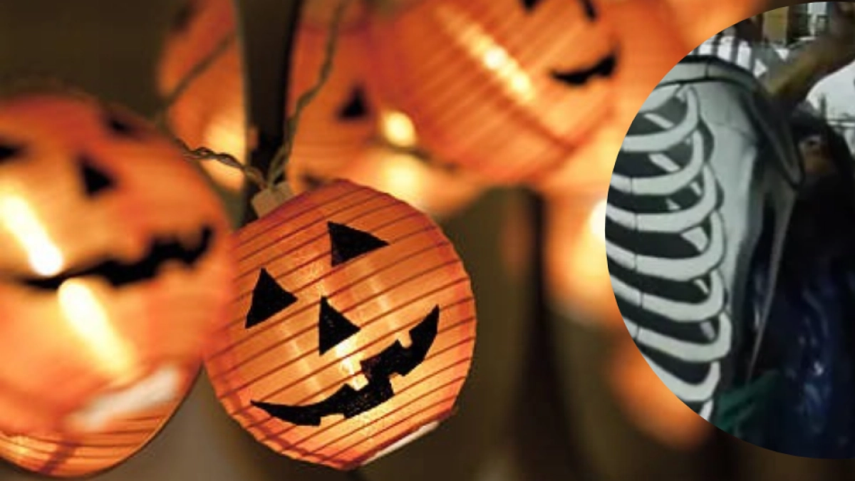 ¡Ni las decoraciones de Halloween se salvan! Delincuente entró a una vivienda en Bogotá y se robó hasta las brujas que adornaban la casa