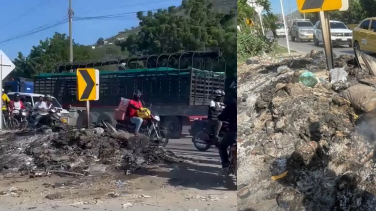 Indignación en Santa Marta: hallan al menos siete perros calcinados en la vía Alterna, cerca del barrio Juan XXIII