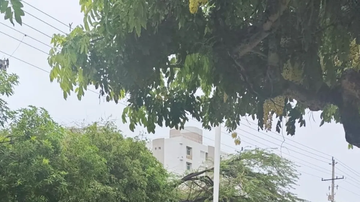 Alcaldía de Santa Marta declara alerta roja por inundaciones y riesgo de crecientes súbitas en dos ríos: estas son las recomendaciones del Ideam