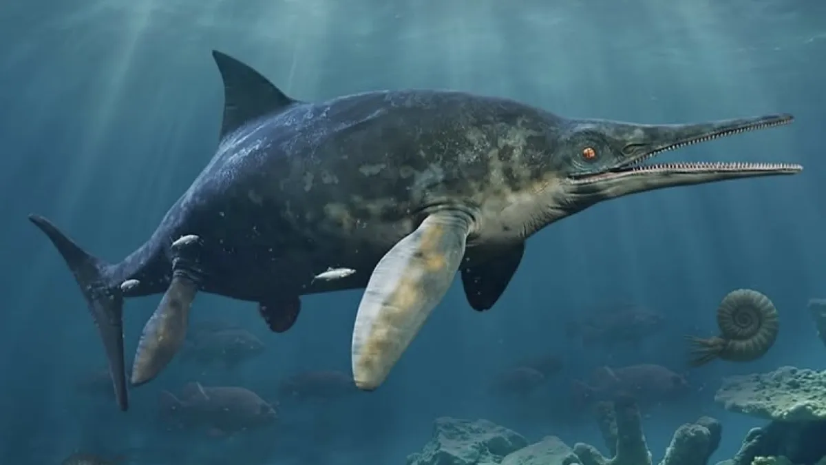 Pareja encuentra fósil de un ‘dragón marino’ de hace 174 millones de años en Reino Unido