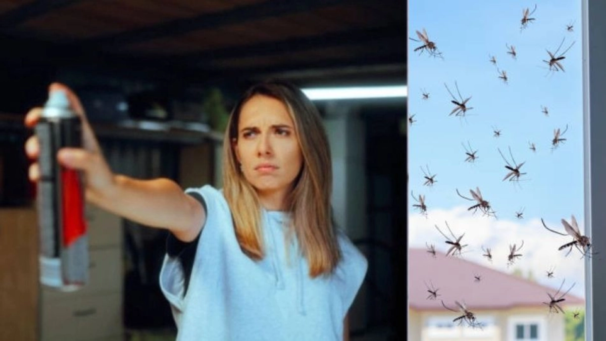 El sencillo truco casero para ahuyentar los mosquitos de la fruta de su cocina