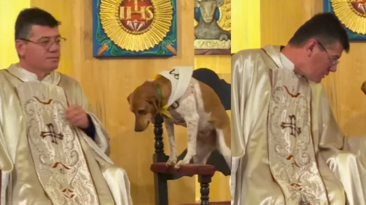 La tierna historia de Nina, la perrita rescatada que se convirtió en la monaguilla más fiel y protagoniza un video viral en internet