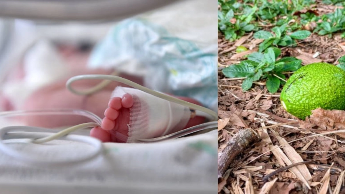 Habló la mamá del bebé de 12 días que murió tras recibir un golpe de un aguacate en Argentina: ‘Vinieron a escondidas a podar el árbol’