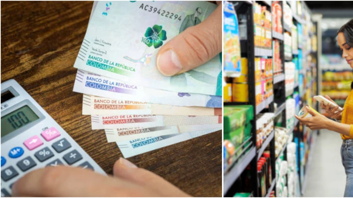Ley de Rescate Económico: esta es la lista de productos que comenzarían a pagar IVA en Colombia y los que mantendrían sus beneficios tributarios