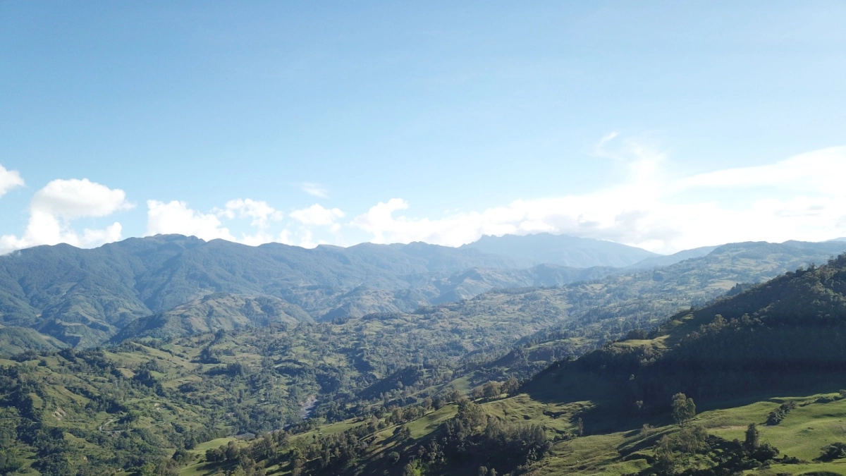 Los Farallones, nueva área protegida de 23.776 hectáreas en Cundinamarca