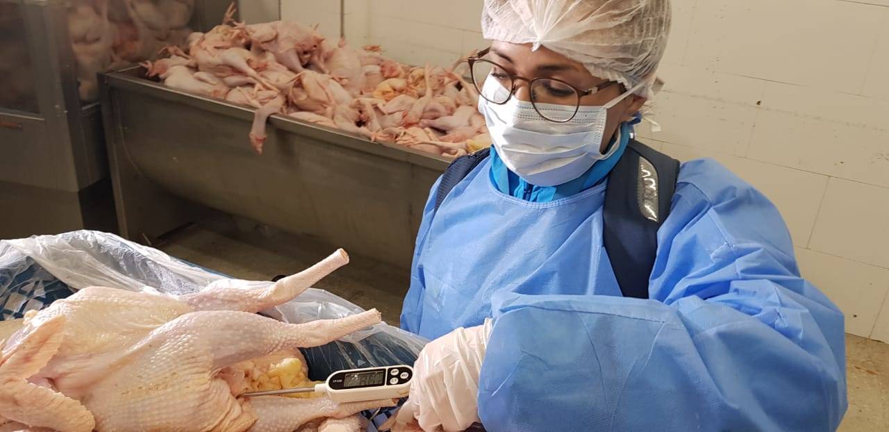 Durante el primer semestre del 2019 se han decomisado cinco toneladas de pollo y carne que no eran aptas para el consumo humano en distintos puntos de Bogotá.