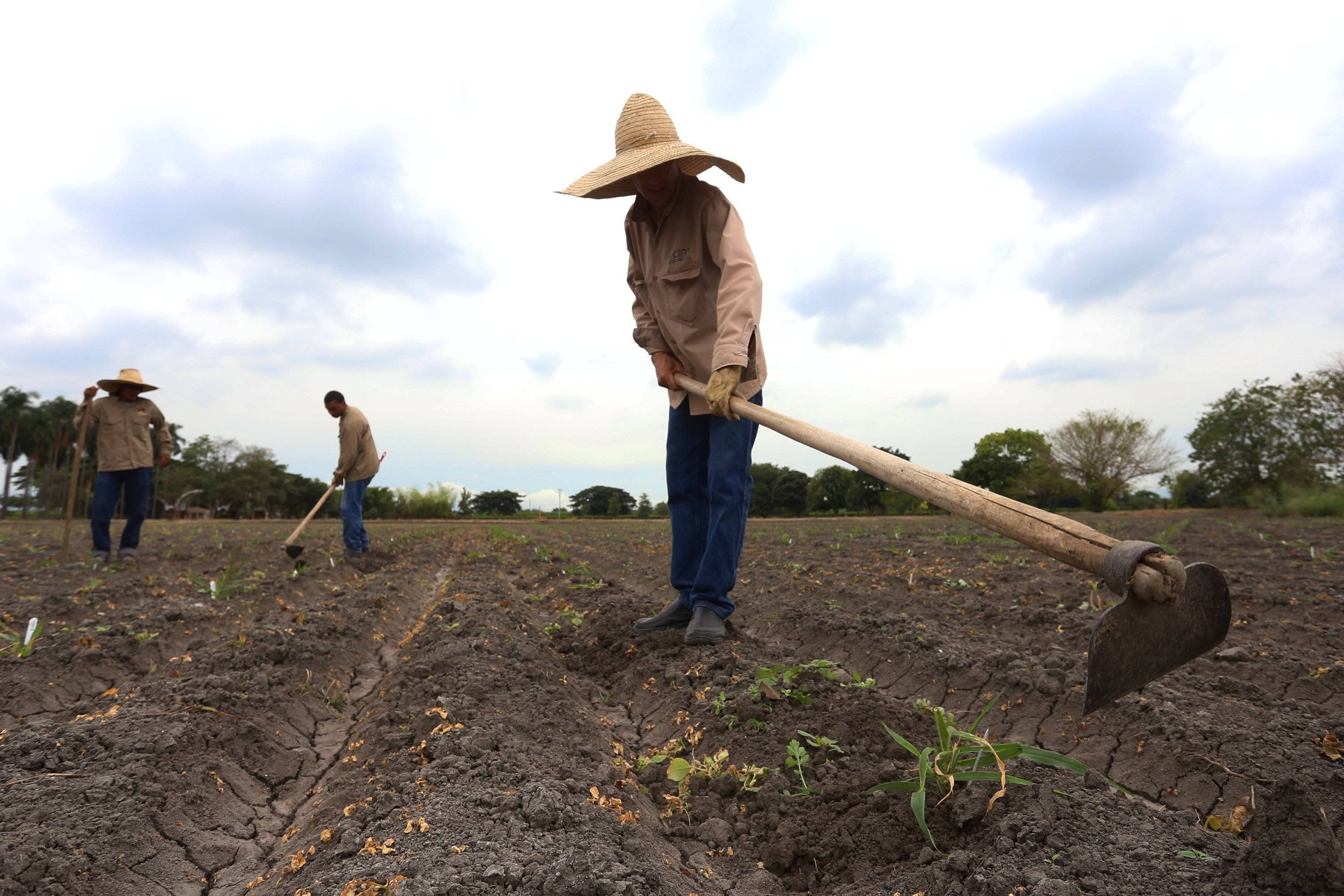 En temas de género, la reforma rural integral es el punto más rezagado en cuanto a implementación del acuerdo de paz.
