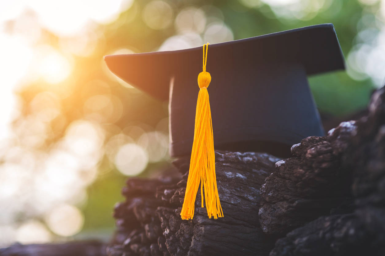 Cinco razones por las que es importante estudiar un doctorado