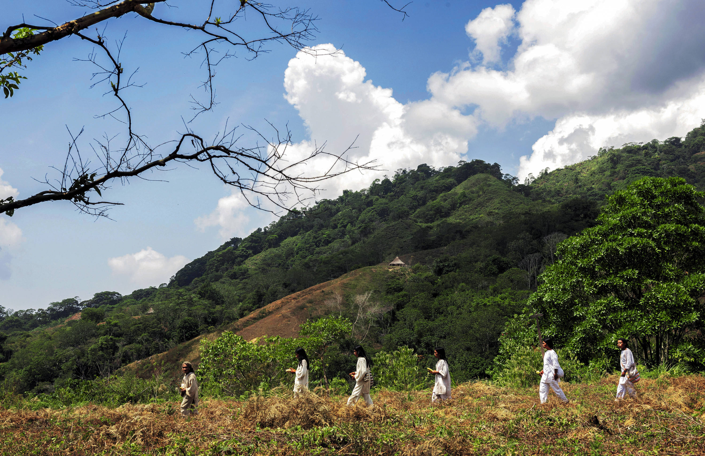The Mankuaka community ensures the environmental care of the Sierra Nevada, it is their duty according to their customs.