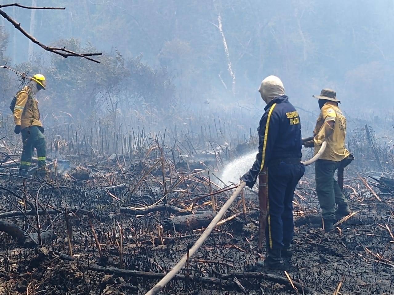 Parque Isla Salamanca.