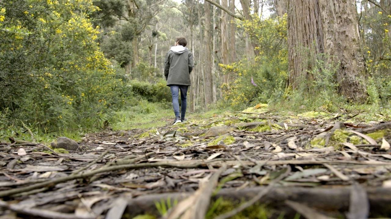La Empresa de Acueducto de Bogotá anunció la reapertura de algunos senderos ecológicos.