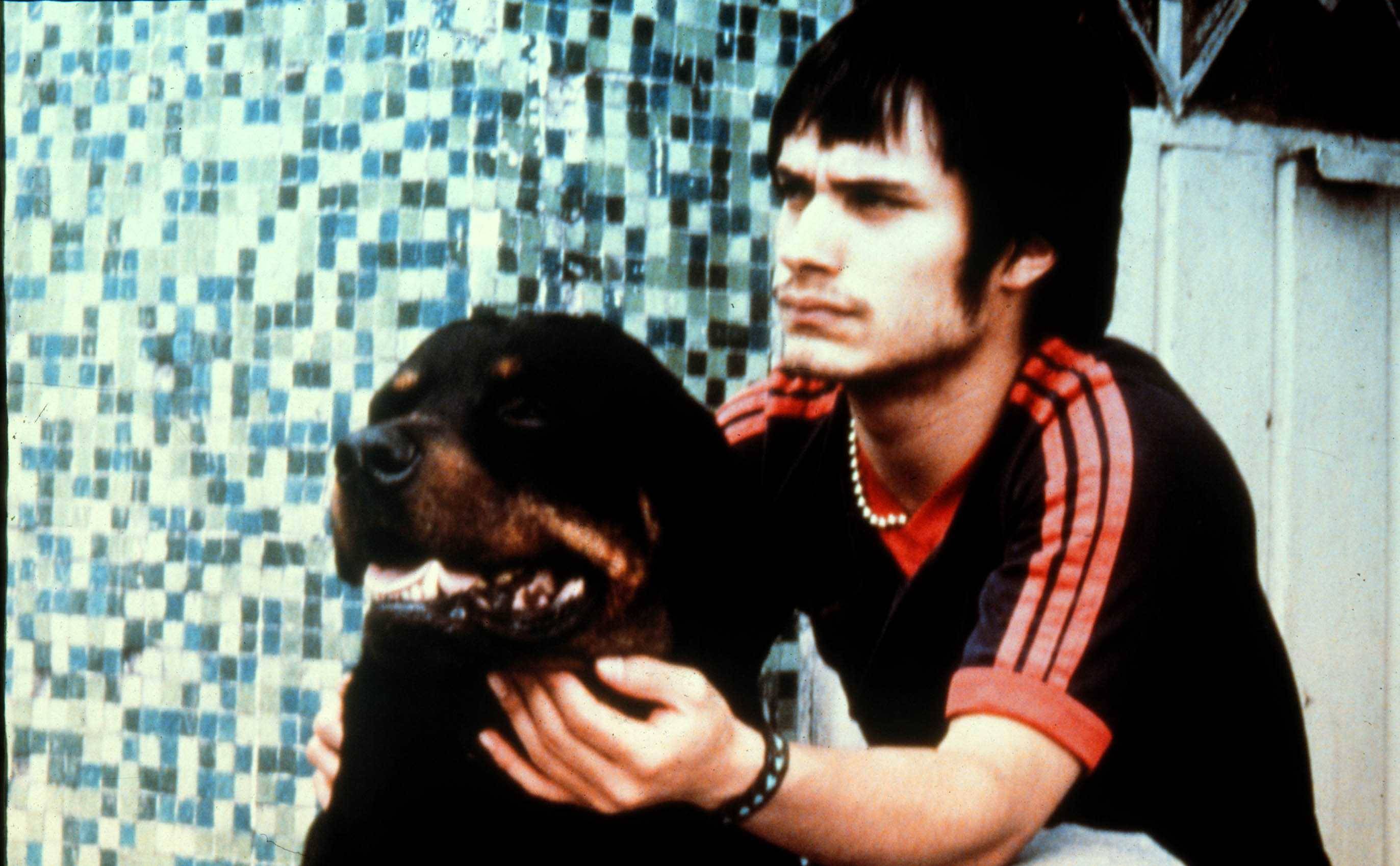‘Amores Perros’ y el gran  boom del cine mexicano