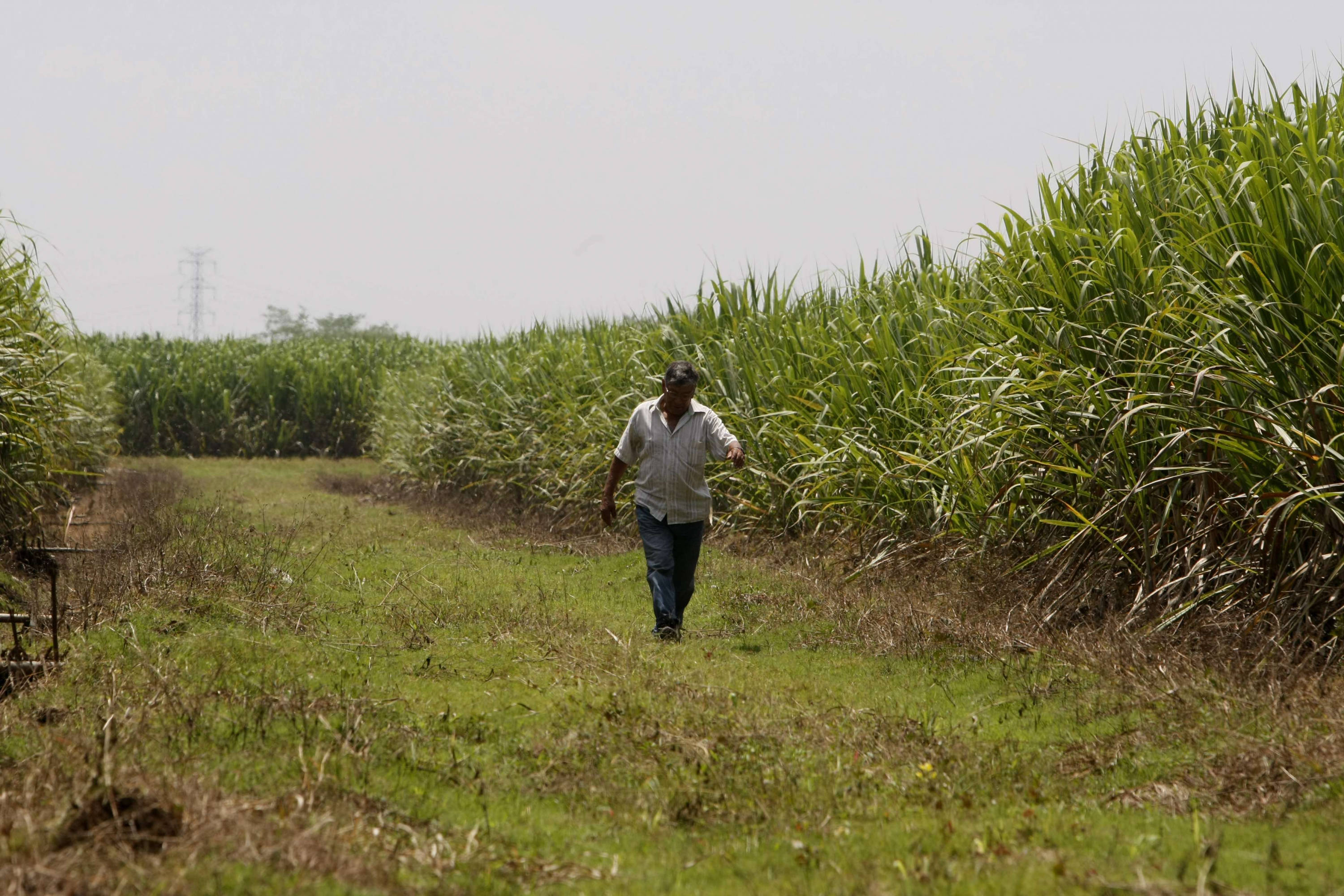 La estrategia busca beneficiar a unos 1.500 trabajadores.
