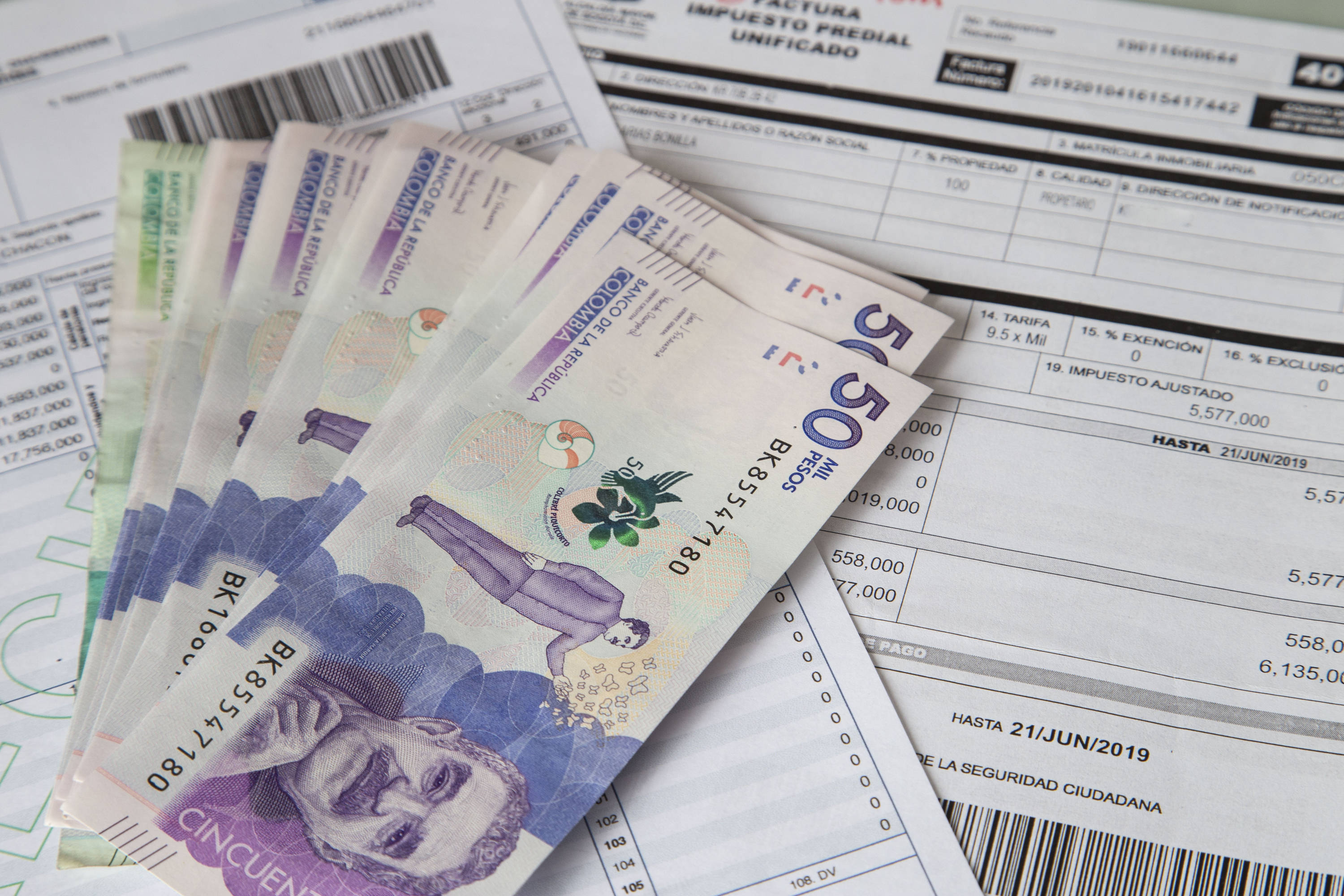 Fotoilustración para temas de billetes, moneda, impuestos, declaración de renta, economía. Foto: Andrea Moreno. El Tiempo.