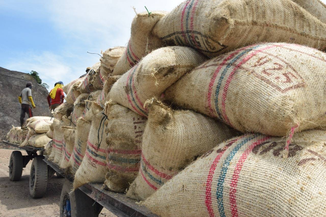 La estrategia de Productividad e Innovación y el Programa Sucre se Reactiva, con  la línea de crédito para los campesinos.