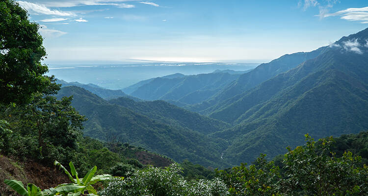 Paisaje cafetero de la Sierra Nevada de Santa Marta. Al fondo, la Ciénaga Grande.