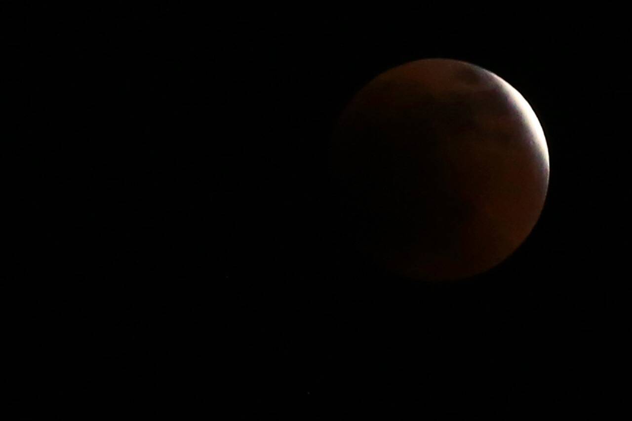 Cómo ver en Colombia el eclipse lunar del 8 de noviembre de 2022
