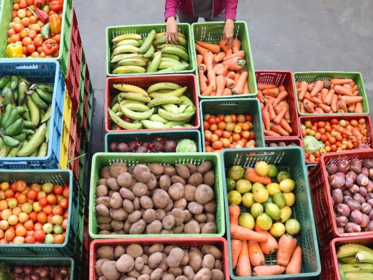 828 MILLONES DE PERSONAS Pasan Hambre en El Mundo, Según El Fondo Monetario Internacional.